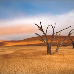 Namibie - deadvlei (2)