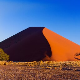 Namibië-Hoogtepunt5-Sossusvlei