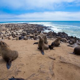 Namibië-Hoogtepunt6-Swakopmund