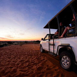 Namibië-Kalahari-Bagatelle Kalahari Game Ranch (4)