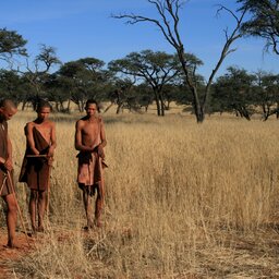 Namibië-Kalahari-hoogtepunt (2)