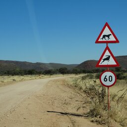 Namibië-okonjima-resized (1)