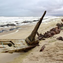 Namibië-Skeleton Coast-hoogtepunt 1