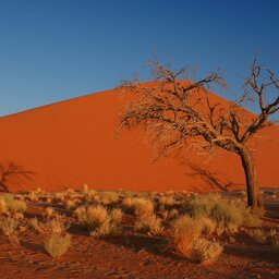 Namibië-Sossusvlei-hoogtepunt (2)