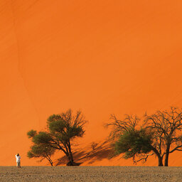 Namibië-Sossusvlei-hoogtepunt (3)