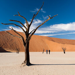 Namibië-Sossusvlei-hoogtepunt (7)