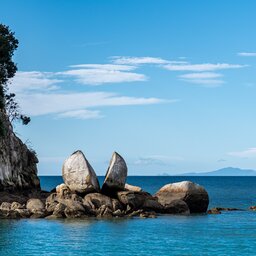 Nieuw-Zeeland-Abel-Tasman-Algemeen-shutterstock_2051224583