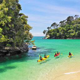 Nieuw-Zeeland-Abel-Tasman-Beaches-Bays-1