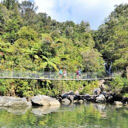 Nieuw-Zeeland-Abel-Tasman-Seal-Bridge-2