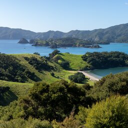 Nieuw-Zeeland-Bay-Of-Islands-Algemeen-shutterstock_2353262957