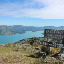 Nieuw-Zeeland-Christchurch-Excursies-Banks-Track-2