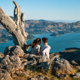 Nieuw-Zeeland-Christchurch-Excursies-Banks-Track-3