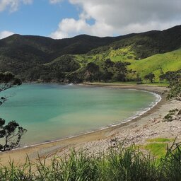 Nieuw-Zeeland-Christchurch-Excursies-Banks-Track-9