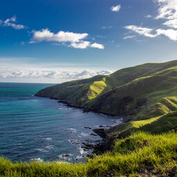 Nieuw-Zeeland-Coromandel-Algemeen-shutterstock_1878837412