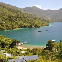 Nieuw-Zeeland-Marlborough-Hotels-Punga Cove Resort-baai