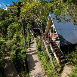 Nieuw-Zeeland-Marlborough-Hotels-Punga Cove Resort-chalet buitenkant