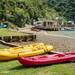 Nieuw-Zeeland-Marlborough-Hotels-Punga Cove Resort-kajak