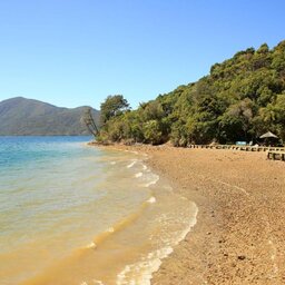 Nieuw-Zeeland-Marlborough-Hotels-Punga Cove Resort-strand