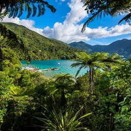 Nieuw-Zeeland-Marlborough-Hotels-Punga Cove Resort-uitzicht