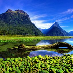 Nieuw-Zeeland - Milford Sound