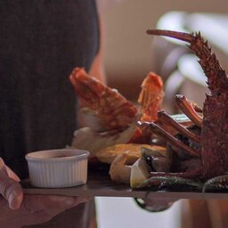 Nieuw-Zeeland-Te-Anau-Hotels-Fiordland-Lodge-3