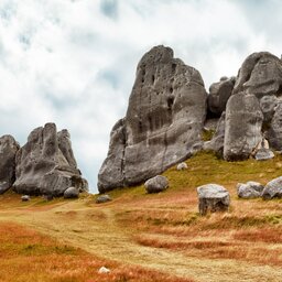 Nieuw-Zeeland - The Castle hill - Southern Alps - Arthurs Pass