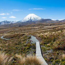 Nieuw-Zeeland - Tongariro National Park (2)