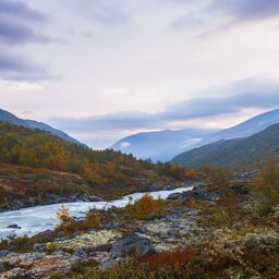 Noorwegen-Oost-Noorwegen-streek-Jotunheimen-National-Park (2)
