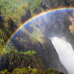 Oeganda-Murchison Falls-Regenboog