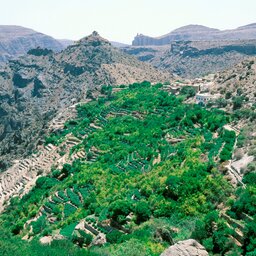 Oman-Alila Jabal Akhdar (18)