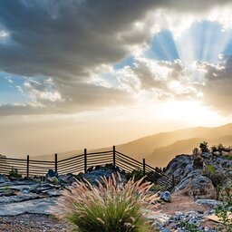 Oman-Jabal Akhdar