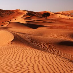 Oman-Wahiba Sands2