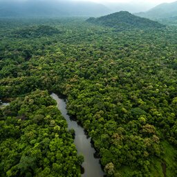 Peru-Amazone-algemene-luchtfoto