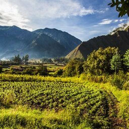 Peru-Heilige-Vallei-Inkaterra-Haciënda-Urubamba-Eco-Farm