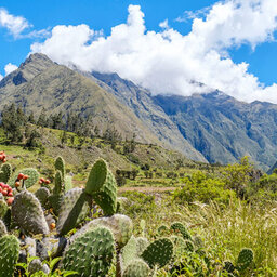 Peru-Machu-Picchu-Excursie-Inca-Trail-12