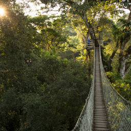 Peru-Puerto-Maldonado-Inkaterra-Haciënda-Concepcion-Hangbrug