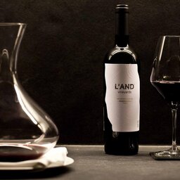 Portugal-Alentejo-Hotel-L-And-Vineyard-hotel-wijn