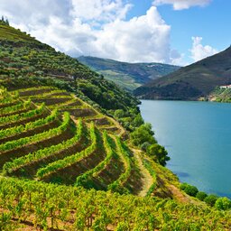 Portugal - Douro vallei  (5)