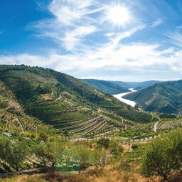 Portugal - Pinhão