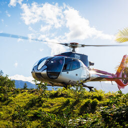 rsz_1la-reunion-diana-dea-lodge-helicopter