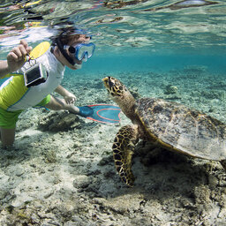 rsz_la-reunion-westkust-excursie-watersport-snorkelen-credit-irt-_cedric_peneau