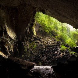 rsz_maleisië-borneo-gunung-mulu-np-excursie-bezoek_aan_grottenstelsel_3