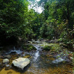 rsz_maleisië-royal-belum-state-park-rivier