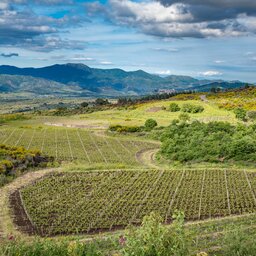 rsz_oost-sicilie-etna-excursie-mt_etna_jeep_and_hiking_tour_with_lunch_at_agriturismo_9