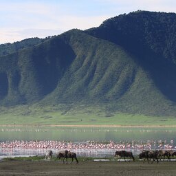 rsz_tanzania-ngorongoro-krater_1