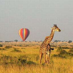 rsz_tanzania-serengeti-excursie-hot-air-ballooning-boven-serengeti_1