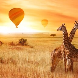 rsz_tanzania-serengeti-excursie-hot-air-ballooning-boven-serengeti_2