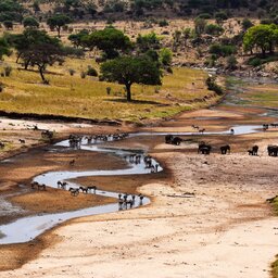 rsz_tanzania-tarangire-np_3