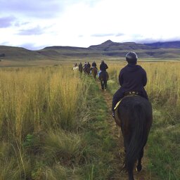 rsz_zuid-afrika-drakensbergen-montusi-mountain-lodge-paardrijden