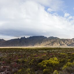 rsz_zuid-afrika-hoogtepunt-westkaap-overberg